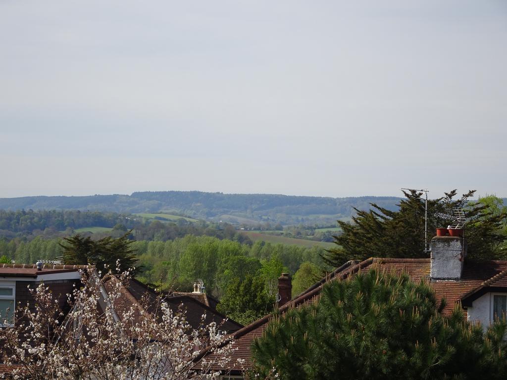 Gras Lawn B&B Exeter Exterior foto